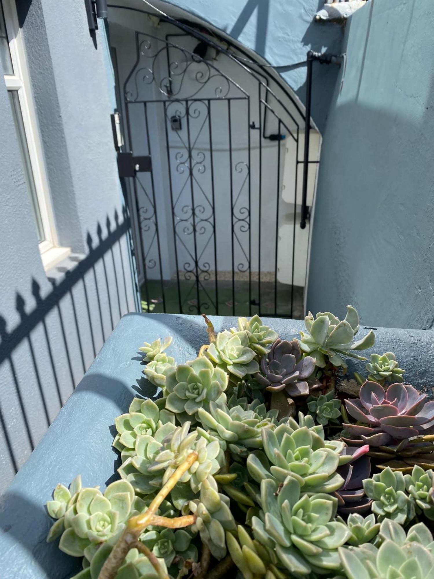 Kemptown Courtyard Apartment Μπράιτον Εξωτερικό φωτογραφία
